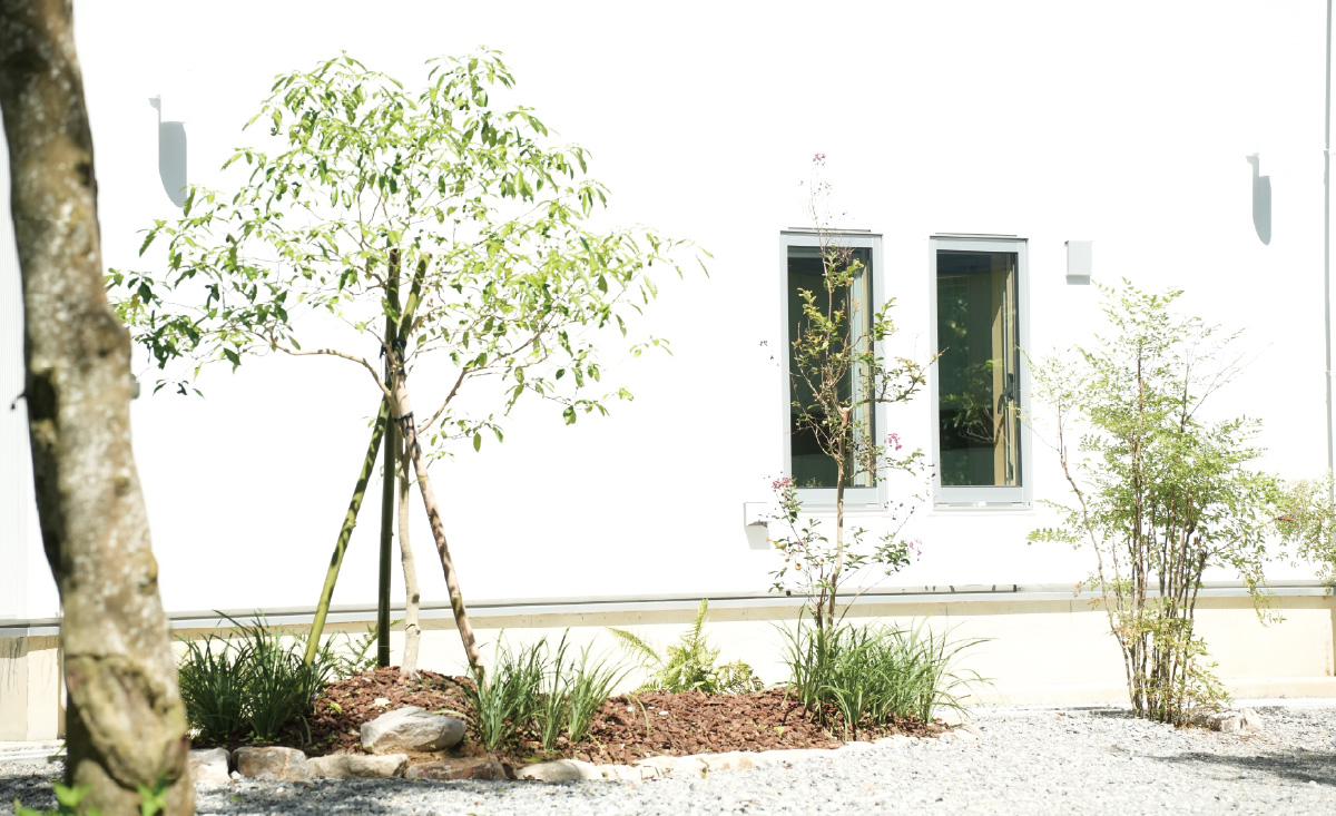 【最新調整】無名樹園區參觀預約